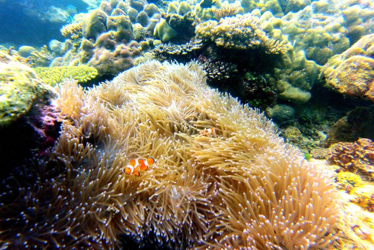 Arkadia Beach Resort Underground River Сабанг Экстерьер фото